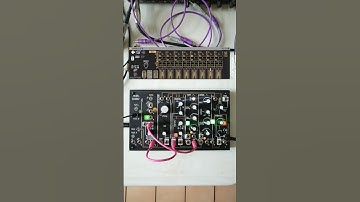 Make Noise 0-coast + Hacktive 0-seq @noise_garden