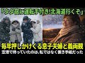 【スカッと】真冬の北海道で“無料宿”扱いされた母が、迎えに行かなかった結果【シニアライフ】【60代以上の方へ】