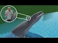 How to Ride the Shark in Sharkbite!