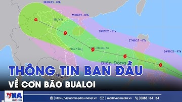 Thông tin ban đầu về cơn bão BUALOI - VNAMedia