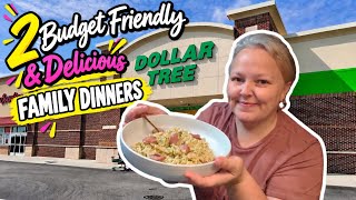 2 Delicious Low Cost Dinners From Dollar Tree - Did I Mention They Are Actually TASTY?!