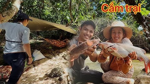 Cùng Vợ Cắm Trại Săn Cá Được Cá Lớn Ngày Nước Rút