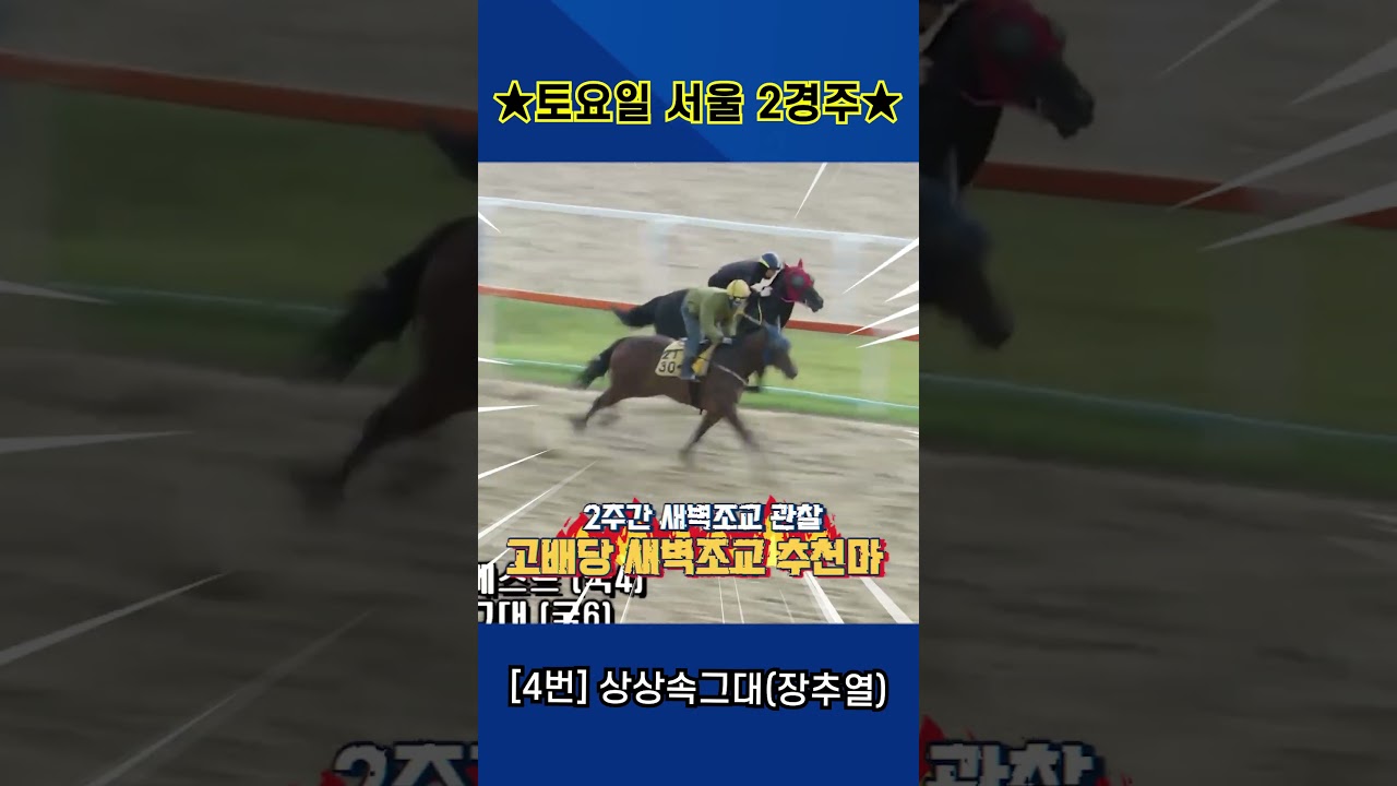 9월12일 토요일 서울 2경주!! 2주간 훈련보인 강백호의 새벽조교 쏘스마!!