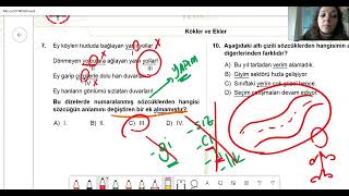 MEB ODGSM 5. Sınıf Türkçe Kazanım Kavrama Testi-3 Çözümleri