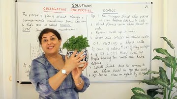 XII-2 #21, Osmosis - Solutions