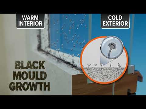 Black Mould On Walls Causes Symptoms