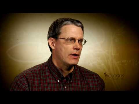 Pete Enns on Understanding Origins and the Ancient...