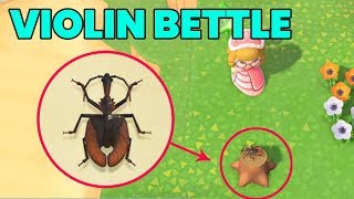 Violin Beetle Animal Crossing How To Catch Price Hours Location Youtube