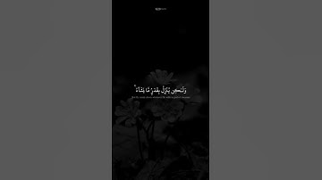 سورة الشورى الآية (٢٧)