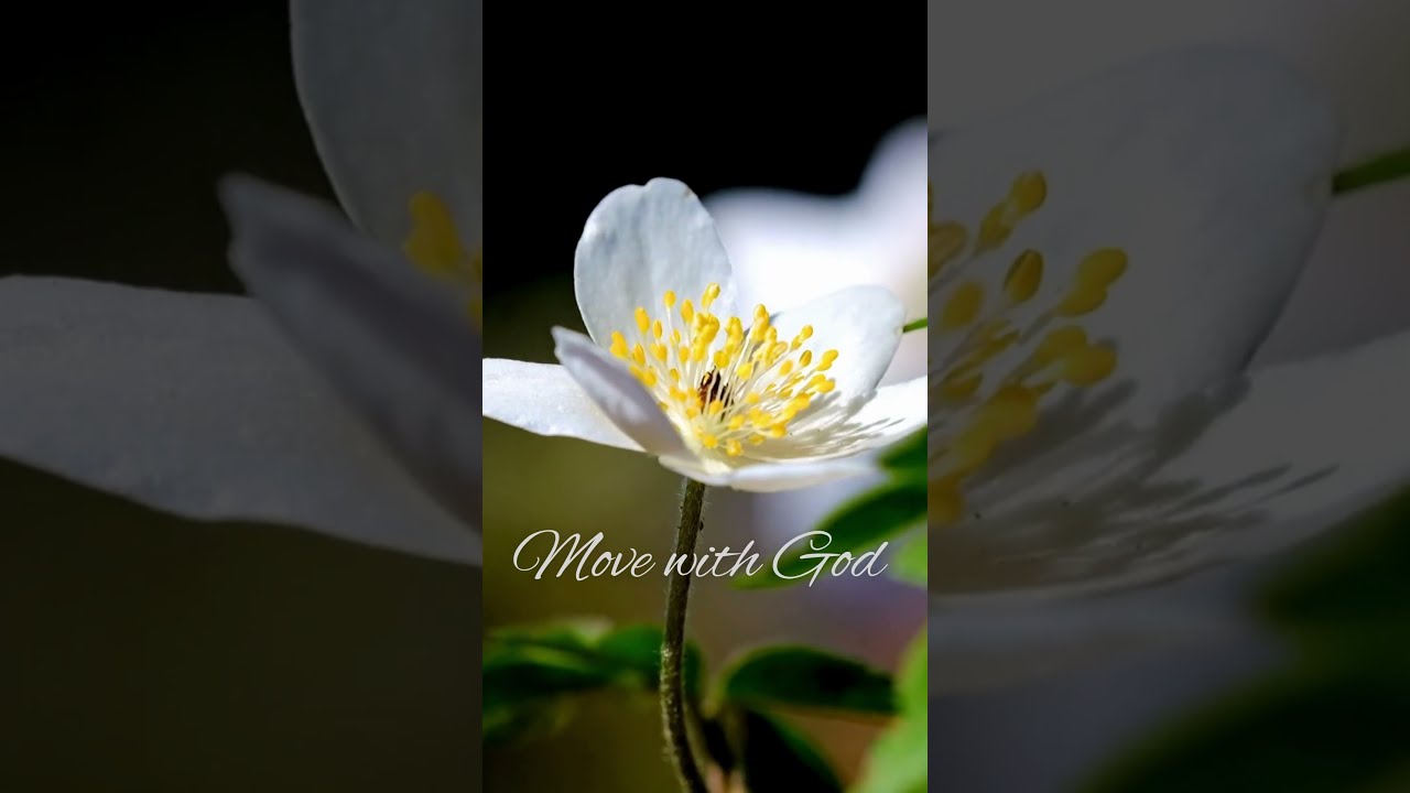 What S The Most Auspicious Time To Begin Something 