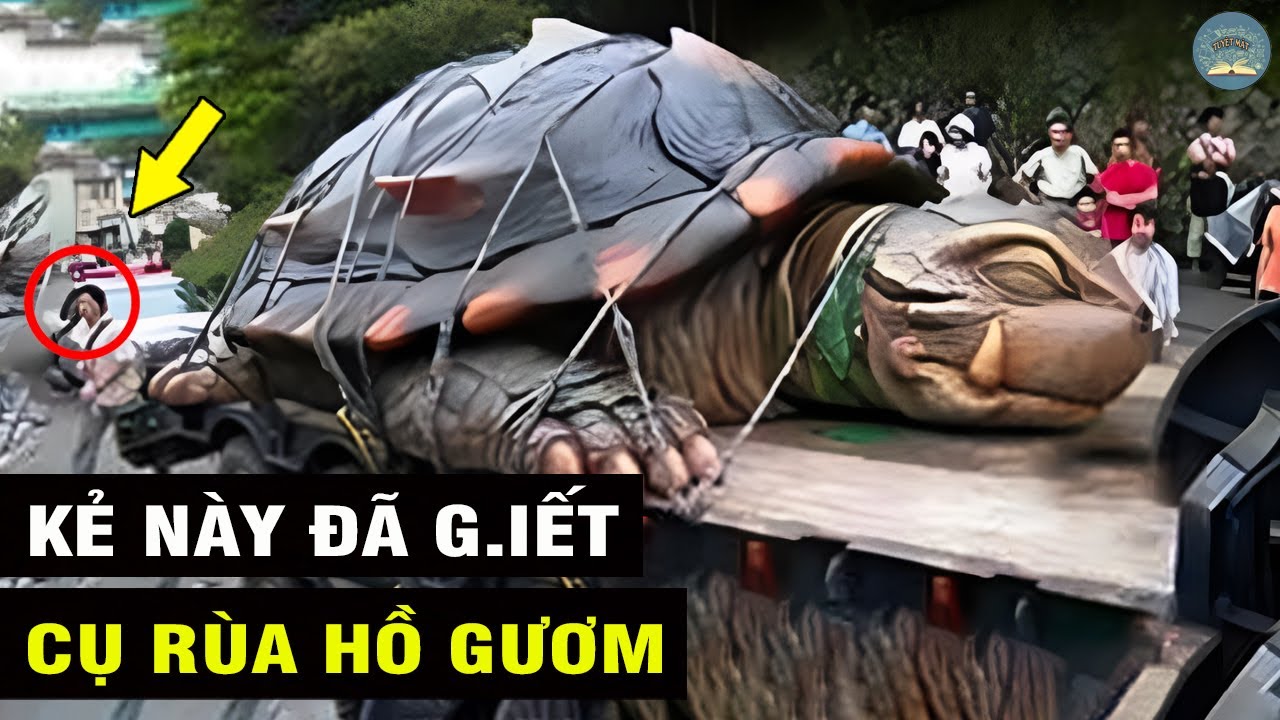 CỰC SỐC: Hóa Ra CỤ RÙA Hồ Gươm Đã Bị Những Kẻ Này TIỄN VỀ CHẦU TRỜI ...