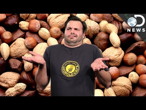 Video: What Is A Peanut