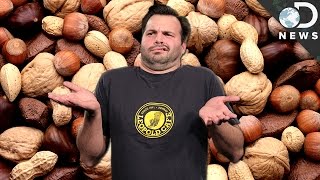 WTF Is A Nut?! WTF Is A Nut?!