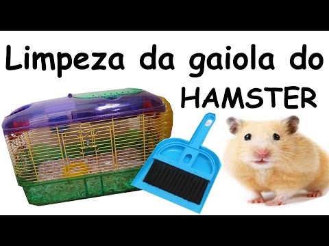 Vídeo: Gaiola raiva em hamsters: o guia completo