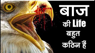 Eagle Atude Video Eagle Mentality Video Eagle Best Motivational Video Eagle Atude