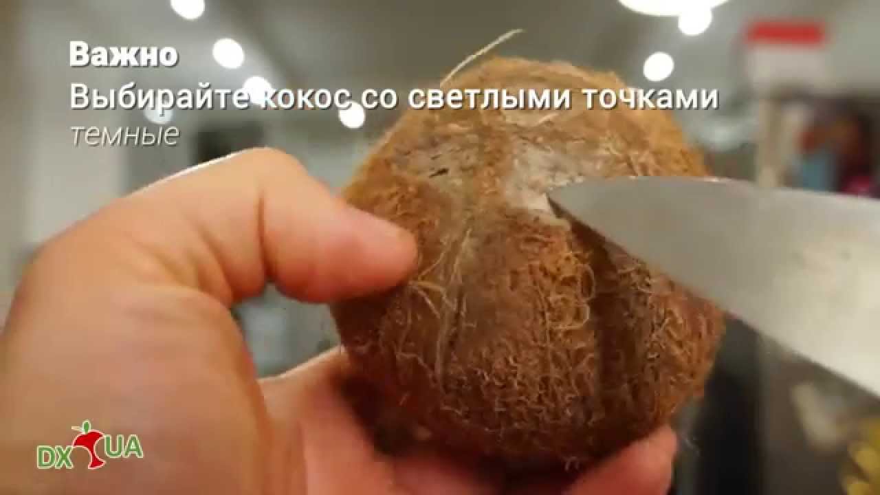 Фото как есть кокос в домашних условиях 358