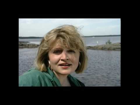 Video: Suolaheinä