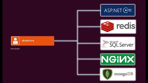 Step by Step tutorial for ASP.Net Core 3.1 Web Application Hosting on Ubuntu - Part 3: The hosting