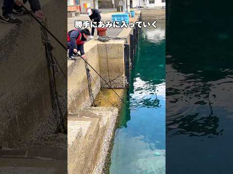 釣りしていると海に異常発生#釣り#九州釣り#fishing