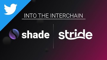 Into the Interchain with Stride Zone