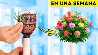 🌱 ¡Trucos de jardinería 101! Técnicas de plantación e ideas con botellas de plástico para plantas by Ideas en 5 minutos FAMILIA 10,927 views 13 days ago 1 hour, 34 minutes