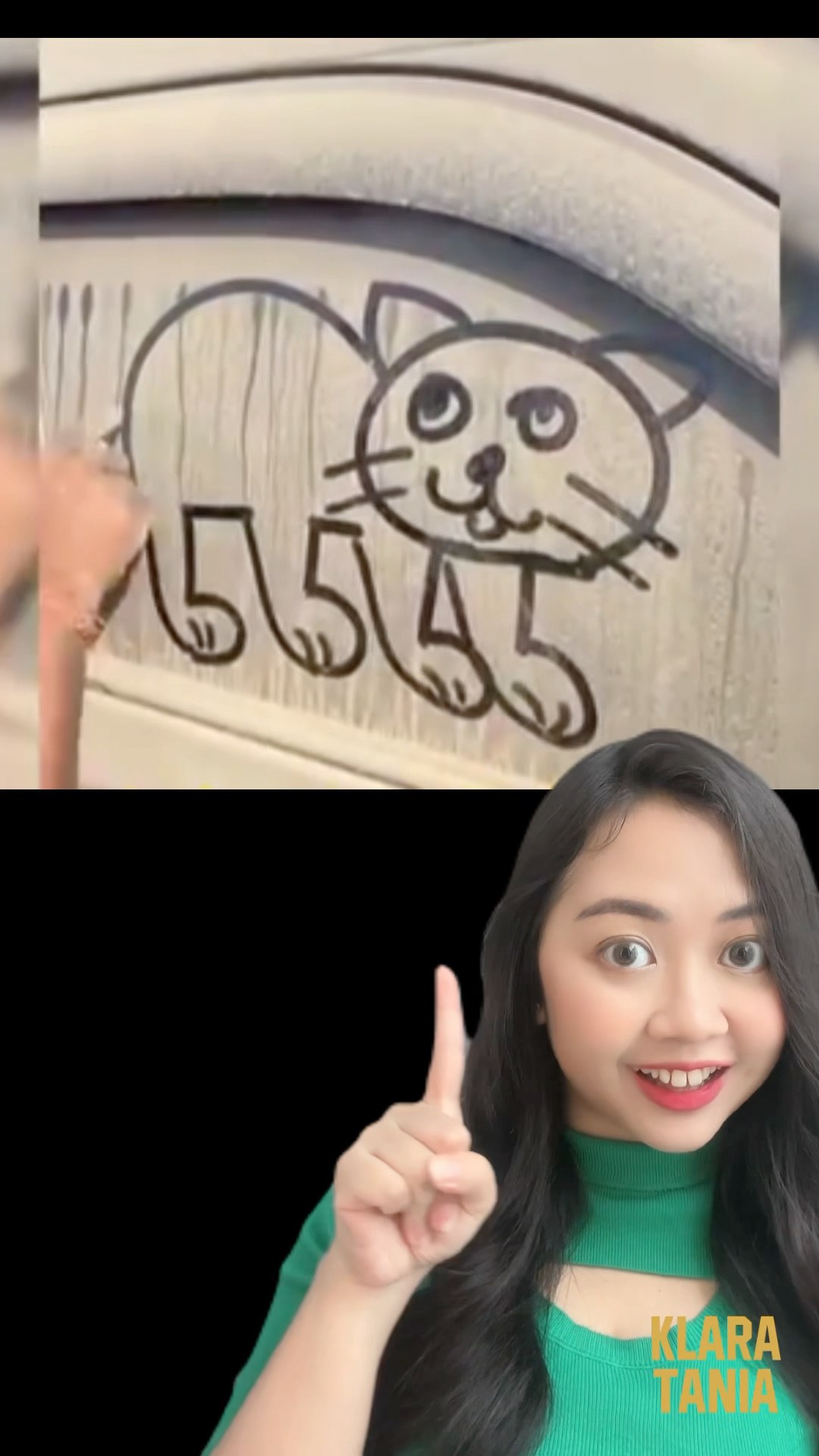 TUTOR GAMBAR KUCING ? | Klara Tania #shorts