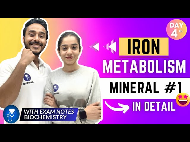 iron metabolism biochemistry | mineral biochemistry | iron absorption & transport