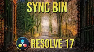 How to Use Sync Bin in DaVinci Resolve 17 Tutorial