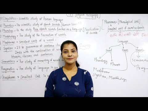 What is Phoneme, morpheme, semantics, pragmatics, grapheme || English Pedagogy for CTET/ MPTET