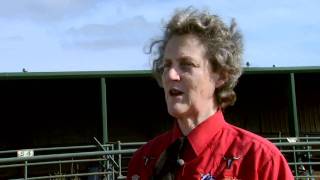 Animal Behavior with Temple Grandin  Part 1