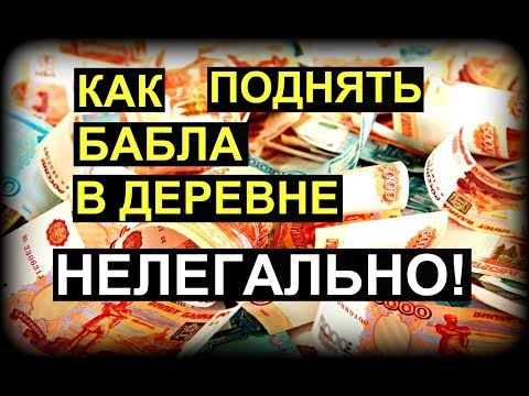 5 способов заработать в деревне нелегально!||Дом в деревне||Как сделать