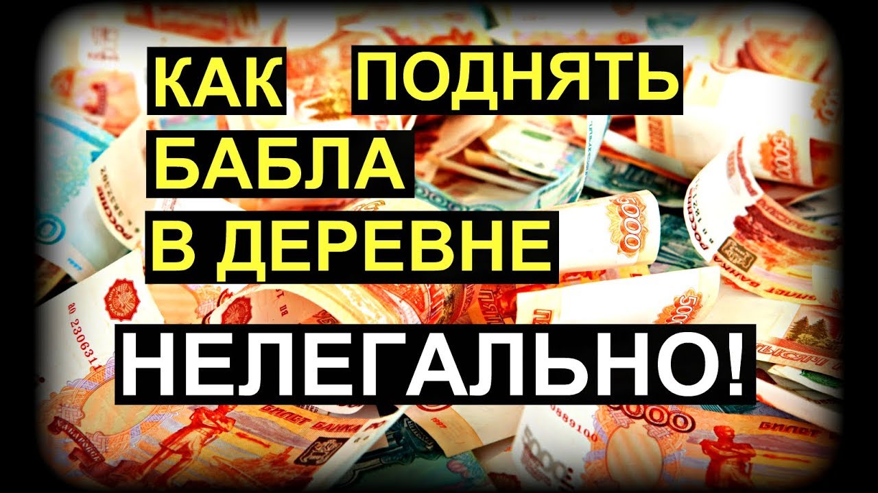 Чем можно зарабатывать в деревне. Способы заработка в деревне. Идеи для заработка в деревне. Как заработать деньги в деревне. Как зарабатывать деньги в селе.