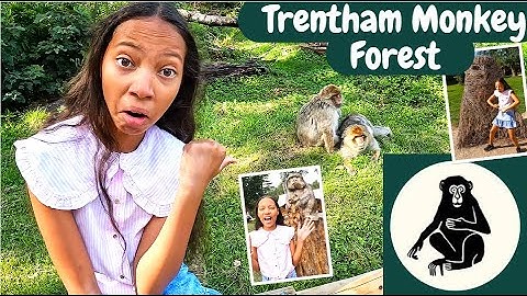 TRENTHAM MONKEY FOREST