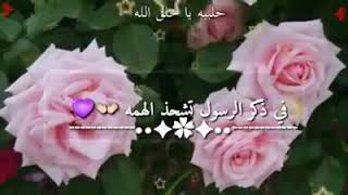 حالات واتس: صلو عليه شفيع الأمة💕