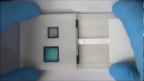 Three-dimensional paper-based slip device for one-step point-of-care testing