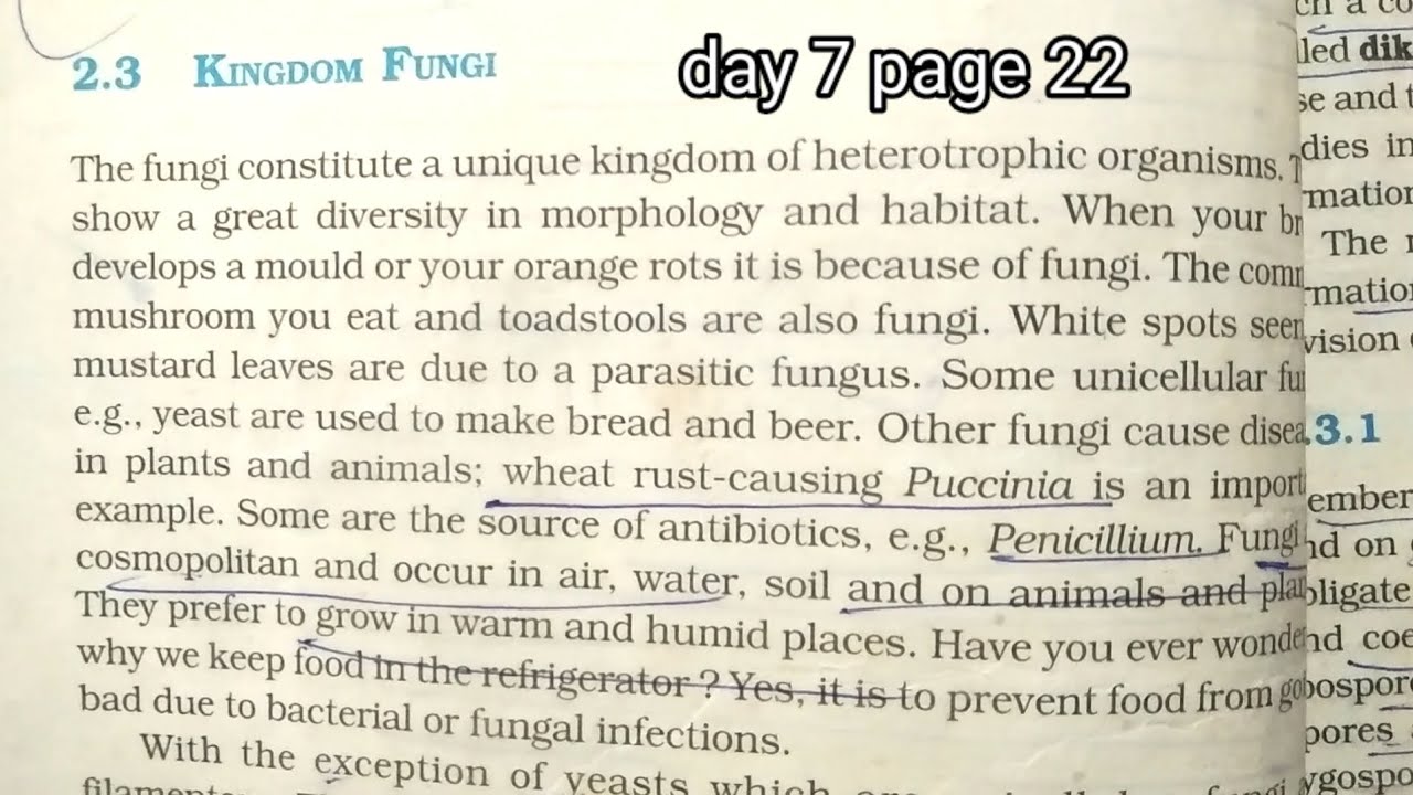 Kingdom fungi Ncert class 11 😌😌 ( day7 page 22 & 23)#biology - YouTube