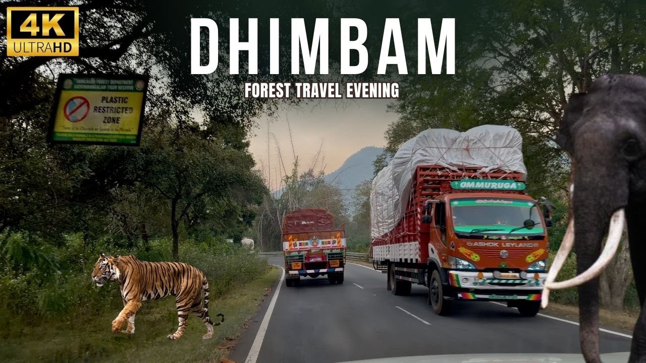 🔥மாலை நேர சத்தியமங்கலம் திம்பம் பயணம் @SimbaaVlogs