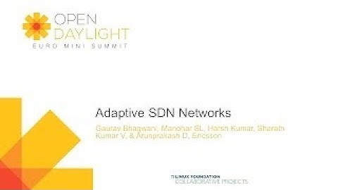 Adaptive SDN Networks