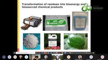 Pr Celine Vaneeckhaute