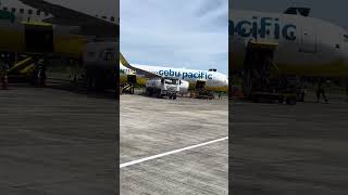 Cebu Pacific and Philippine Airlines ✈️💓 #trending #youtubeshorts #viral #youtube #youtubevideos