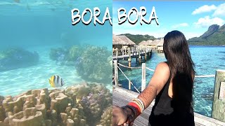 BORA BORA HONEYMOON Part 2. |  SNORKELING IN CLEAR WATER | BEST PLACE IN THE WORLD