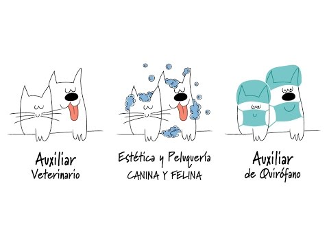 Curso auxiliar veterinario