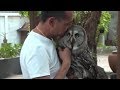 How to create an amazing bond with any owl // HOW TO BOND WITH YOUR OWL // CRUCIAL BONDING TECHNIQUE