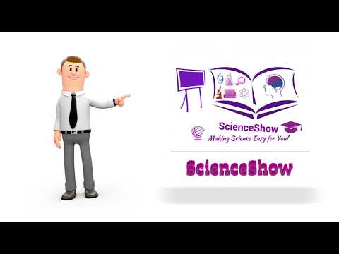 Types of Research - Summary