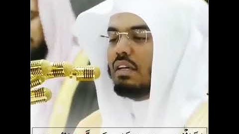 تلاوه رائعة جدا نوادر الشيخ ياسر الدوسري