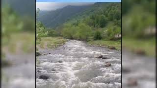 Gədəbəyli Balasıyam