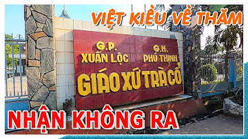 Đưa Việt Kiều về quê thăm Giáo Xứ Trà Cổ thay đổi quá nhiều nhận không ra