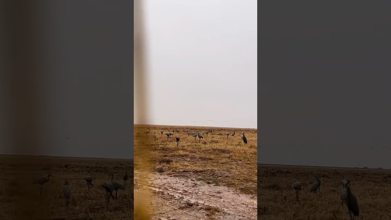 If I see one more person unoriginally post “Ribeye of the Sky” as their caption I swear I’ll lose my