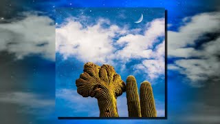 Diespnea - Radici (Full Album)