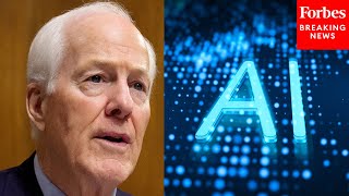 'The Impact Of Brain Power': John Cornyn Grills AI Expert On How Immigrants Help US AI Development